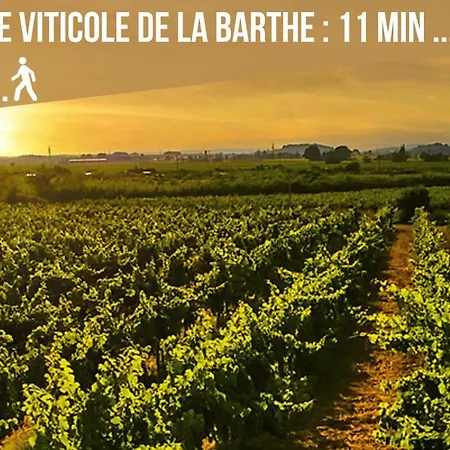 Centre Historique- Free Parking-wifi-campagne Chic- Sleepntripbeziers