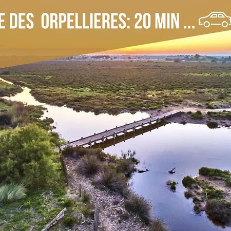 Centre Historique- Free Parking-wifi-campagne Chic- Sleepntripbeziers
