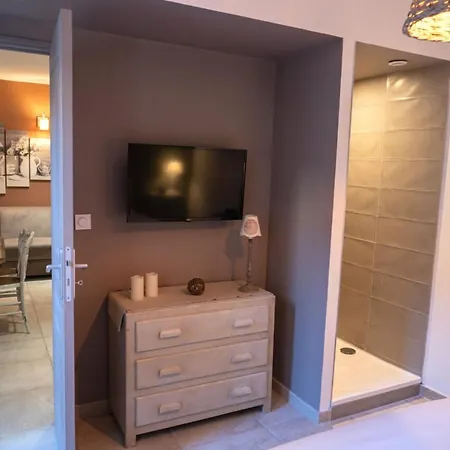 Centre Historique- Free Parking-wifi-campagne Chic- Sleepntripbeziers Apartment Béziers