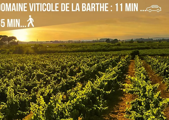 Centre Historique- Free Parking-wifi-campagne Chic- Sleepntripbeziers
