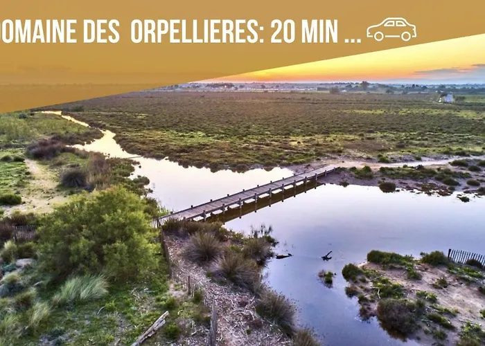 Centre Historique- Free Parking-wifi-campagne Chic- Sleepntripbeziers