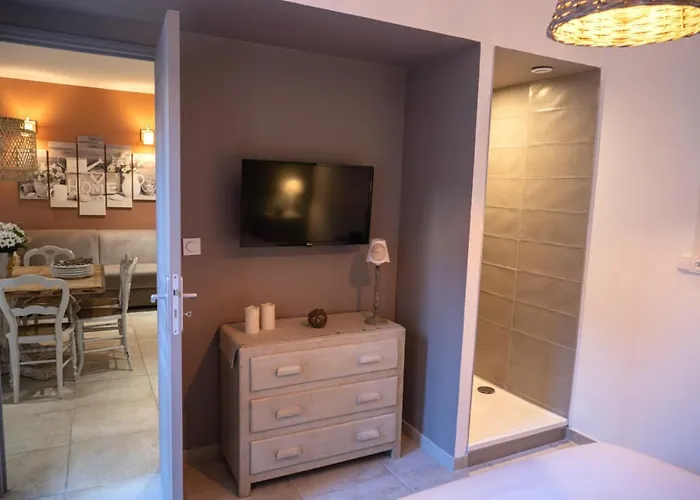 Centre Historique- Free Parking-wifi-campagne Chic- Sleepntripbeziers Apartment Beziers