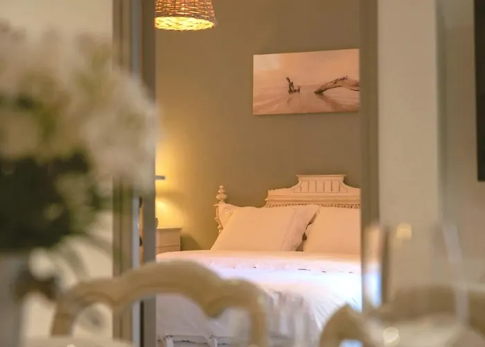 Apartment Centre Historique- Free Parking-wifi-campagne Chic- Sleepntripbeziers *