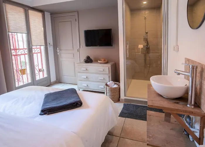 Διαμέρισμα Centre Historique- Free Parking-wifi-campagne Chic- Sleepntripbeziers Μπεζιέ